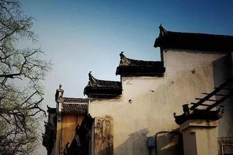 银河中动物逃生